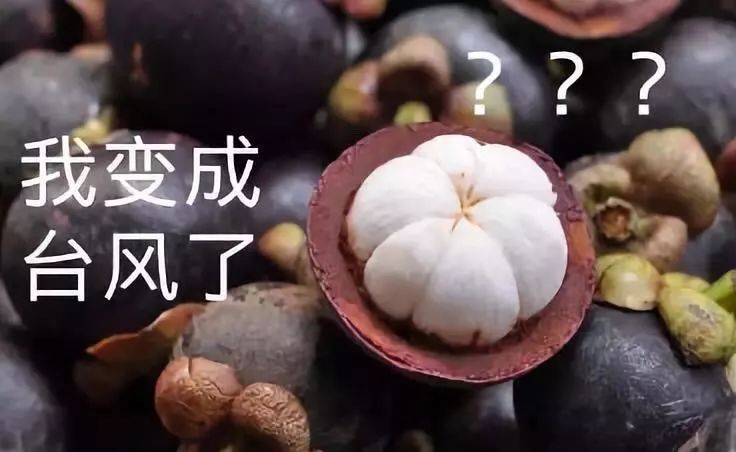 台风风王“山竹”来袭 | 华体(中国)环保有事情要告诉你!