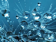 华体(中国)NTO纳米膜